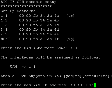 设置WAN IP地址界面