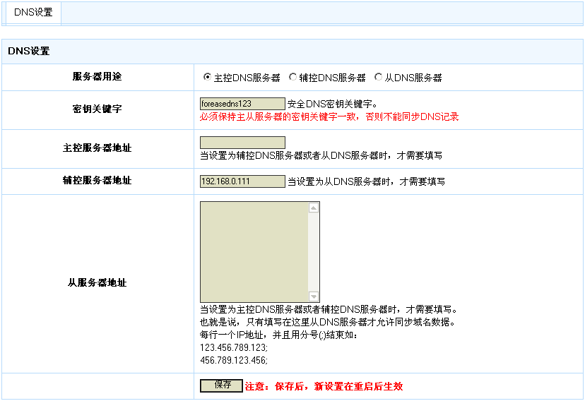 DNS设置界面